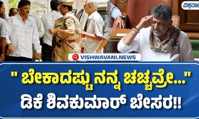 "ಬೇಕಾದಷ್ಟು ನನ್ನ ಚಚ್ಚವ್ರೆ...": ಡಿ.ಕೆ. ಶಿವಕುಮಾರ್‌ ಹೀಗೆ ಹೇಳಿದ್ದೇಕೆ?