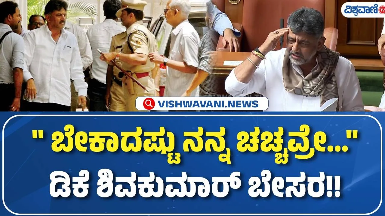"ಬೇಕಾದಷ್ಟು ನನ್ನ ಚಚ್ಚವ್ರೆ...": ಅಧಿವೇಶನದ ವೇಳೆ ಡಿ.ಕೆ. ಶಿವಕುಮಾರ್‌ ಬೇಸರ