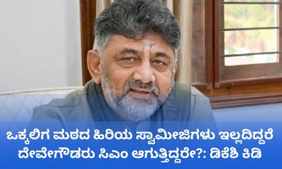 ಕುಮಾರಸ್ವಾಮಿ ಬಹಳ ದೊಡ್ಡವರು, ಅವರಿಗೆ ಯಾರ ಬೆಂಬಲವೂ ಬೇಕಿಲ್ಲ: ಡಿಕೆಶಿ