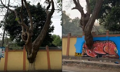 ಹಾನಿಯಾದ ಗೋಡೆಯನ್ನೇ ಭಿತ್ತಿಚಿತ್ರವನ್ನಾಗಿಸಿದ ಕಲಾವಿದ