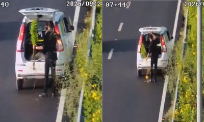 ದೆಹಲಿ-ಡೆಹ್ರಾಡೂನ್ ರಸ್ತೆಯಿಂದ ಗಿಡ ಕಳವು: ಸಿಸಿಟಿವಿ ದೃಶ್ಯ ವೈರಲ್