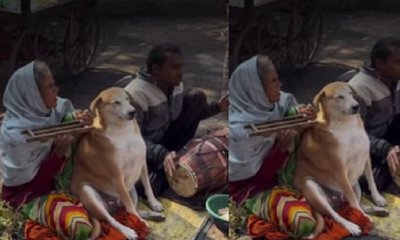 ಭಜನೆಯನ್ನು ಆಲಿಸಿ ಎಲ್ಲರ ಮನಗೆದ್ದ ನಾಯಿ: ಕ್ಯೂಟ್ ವಿಡಿಯೊ ಇಲ್ಲಿದೆ