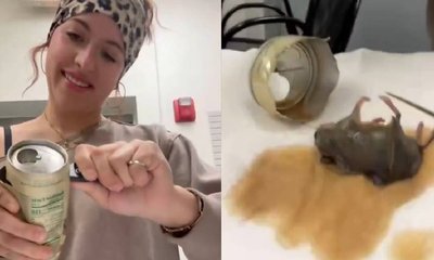 ಸ್ಟಾರ್‌ಬಕ್ಸ್ ನಲ್ಲಿ ಸತ್ತ ಇಲಿ ಪತ್ತೆ: ಸುರಕ್ಷತೆ ಪ್ರಶ್ನಿಸಿದ ನೆಟ್ಟಿಗರು