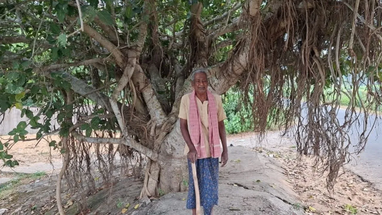 World Environment Day 2026 Special: ಪ್ರಕೃತಿಯೇ ಪರಿವಾರ, ಮರ-ಗಿಡಗಳೇ ಬಂಧು-ಬಳಗ; ಪರಿಸರ ಸೇನಾನಿಗಳಿವರು - Image 5