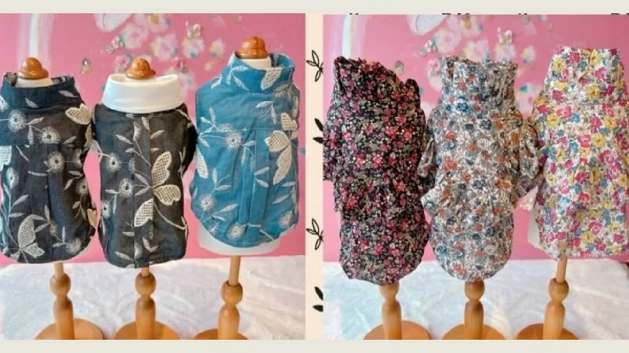 Dog Designewears: ನಿಮ್ಮನೆ ಮುದ್ದು ನಾಯಿಮರಿಗಳಿಗೂ ಬಂತು ಕಲರ್‌ಫುಲ್ ಡಿಸೈನರ್‌ವೇರ್ಸ್ - Image 3