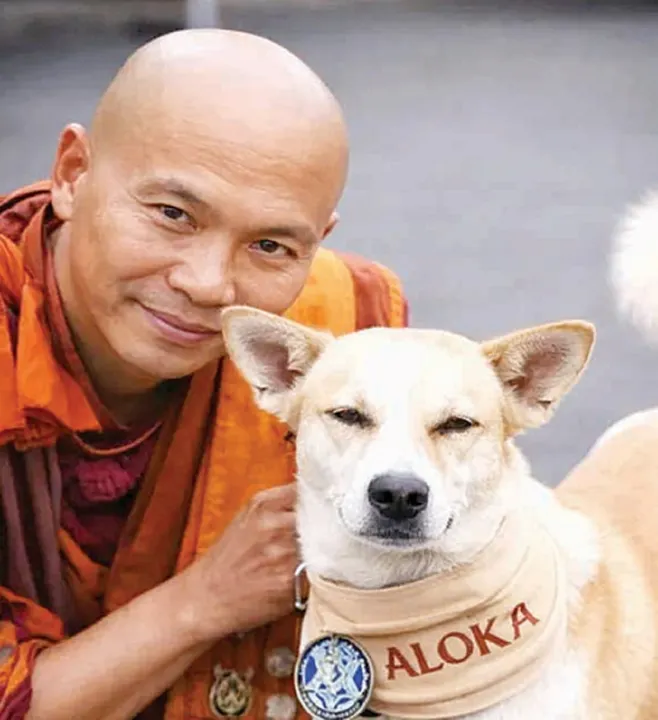 Dog with Mon