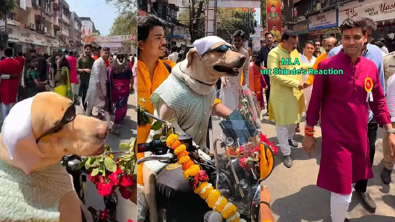 ಯುಗಾದಿ ಯಾತ್ರೆಯಲ್ಲಿ ಡಾಗೇಶ್‌ ಭಾಯ್‌ ಬೈಕ್ ಸವಾರಿ! ಶ್ವಾನದ ಸ್ವಾಗ್‌ ನೋಡಿ ನೆಟ್ಟಿಗರು ಫಿದಾ, ವಿಡಿಯೋ ನೋಡಿ