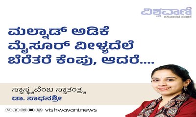 ಮಲ್ನಾಡ್‌ ಅಡಿಕೆ ಮೈಸೂರ್‌ ವೀಳ್ಯದೆಲೆ ಬೆರೆತರೆ ಕೆಂಪು, ಆದರೆ..