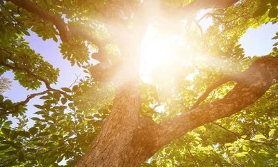 ಇಂದಿನ ಹವಾಮಾನ; ರಾಜ್ಯದ ಎಲ್ಲ ಜಿಲ್ಲೆಗಳಲ್ಲಿ ಒಣ ಹವೆ ಸಾಧ್ಯತೆ