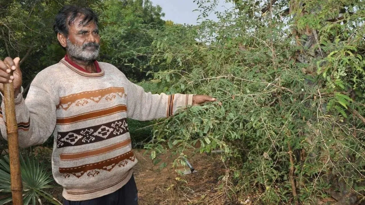 World Environment Day 2026 Special: ಪ್ರಕೃತಿಯೇ ಪರಿವಾರ, ಮರ-ಗಿಡಗಳೇ ಬಂಧು-ಬಳಗ; ಪರಿಸರ ಸೇನಾನಿಗಳಿವರು - Image 4