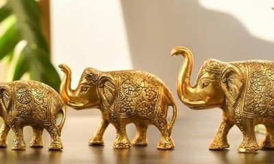 ಬೆಳ್ಳಿಯ ಆನೆ ಇಡುವಾಗ ಈ ನಿಯಮ ಪಾಲಿಸಿ