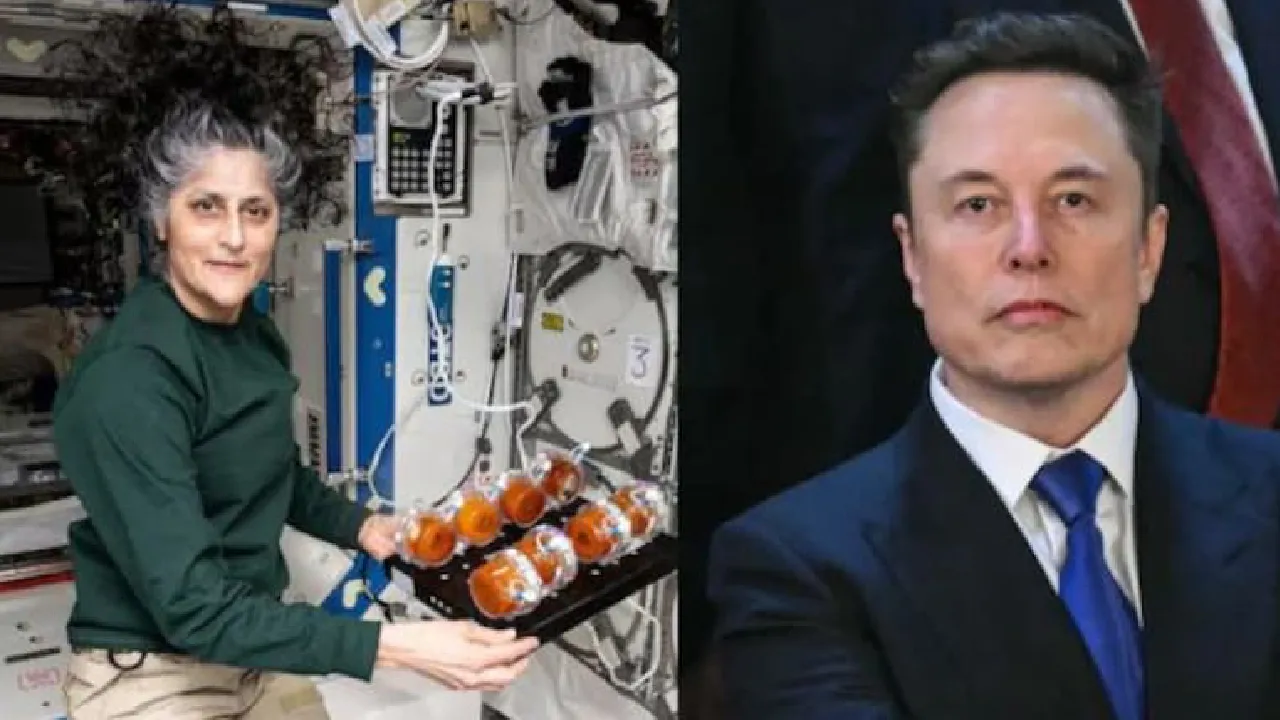 Elon Musk: ಗಗನಯಾತ್ರಿಗಳನ್ನು ಭೂಮಿಗೆ ಕರೆತರಲು ಅಡ್ಡಿ ಮಾಡಿದ್ದೇ ಬೈಡನ್‌; ಎಲಾನ್‌ ಮಸ್ಕ್‌ ಸ್ಫೋಟಕ ಹೇಳಿಕೆ