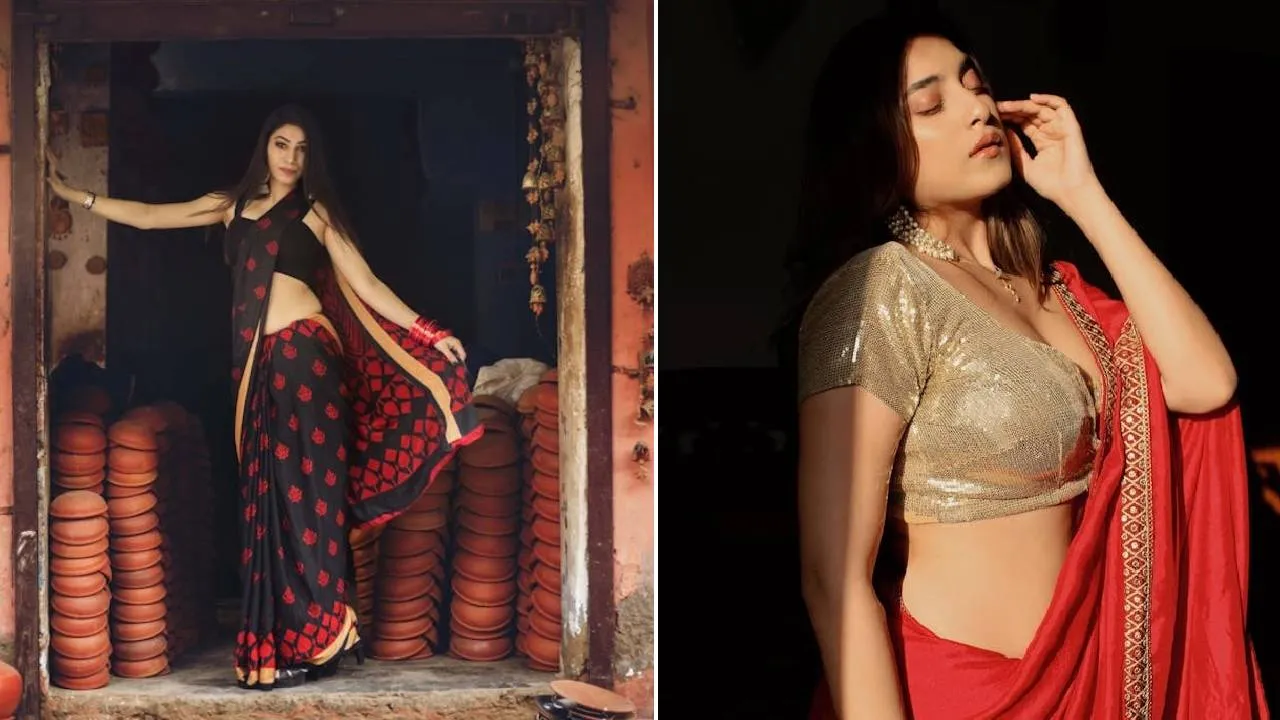 Fancy Saree Fashion 2