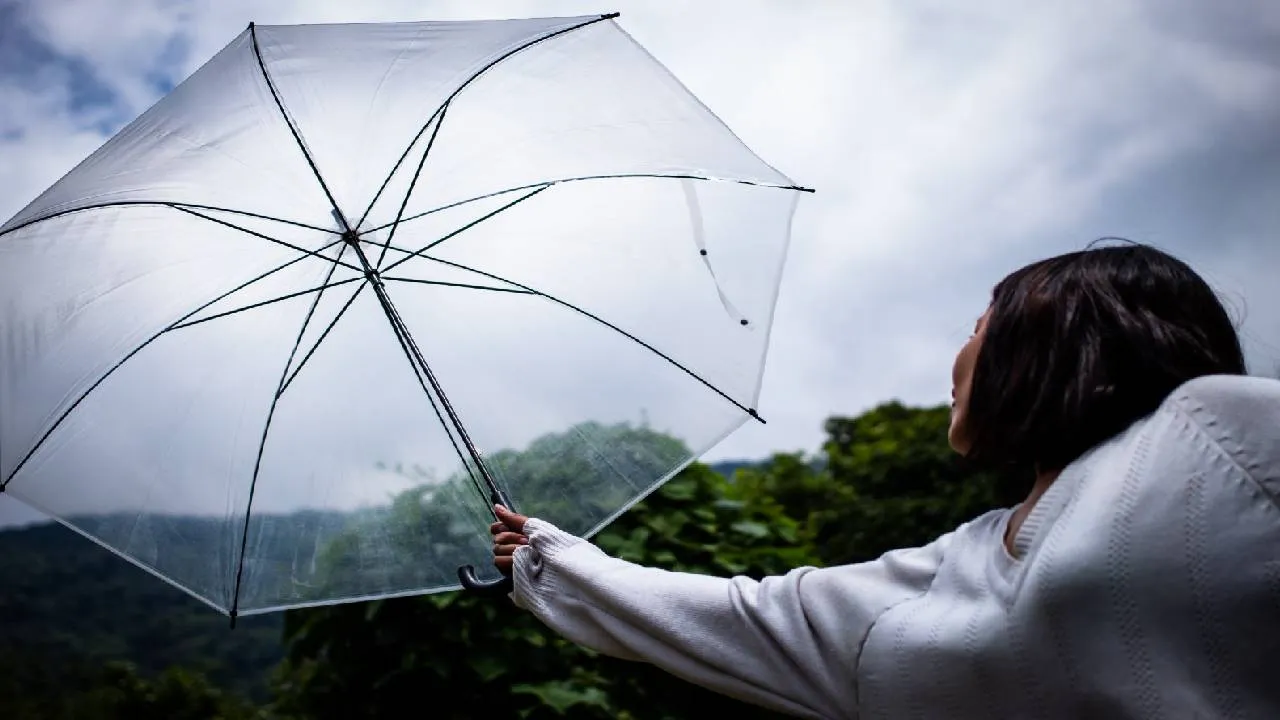 Monsoon Styling Tips 2026: ಮಾನ್ಸೂನ್ ಔಟಿಂಗ್ ಪ್ರಿಯರಿಗೆ 6 ಸ್ಟೈಲಿಂಗ್ ಮಂತ್ರ - Image 2