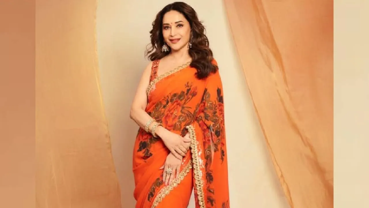 Star Saree Fashion 2026: ಮಾಧುರಿ ದೀಕ್ಷಿತ್‌ ಫ್ಲೋರಲ್‌ ಸೀರೆ ಸ್ಟೈಲಿಂಗ್‌ಗಾಗಿ 6 ಟಿಪ್ಸ್ - Image 2