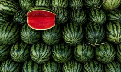 ಕಲ್ಲಂಗಡಿ ಹಣ್ಣು ಸೇವಿಸಿ ಒಂದೇ ಕುಂಟುಂಬದ ಐವರು ಸಾವು