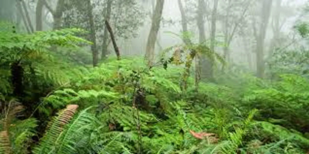 Vishweshwar Bhat Column: ಇಲ್ಲಿ ಈಗಿರುವುದು ಒಂದೇ ಆನೆ !