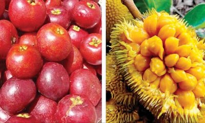 ಬೇಸಿಗೆಯ ಬಿಸಿಲಿನಲ್ಲಿ ಮಕ್ಕಳೇಕೆ ಕಾಡಲ್ಲಿ ಸುತ್ತುತ್ತಿದ್ದರು ?