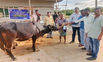 ಯಶಸ್ವಿಯಾದ ಜಾನುವಾರುಗಳ ಆರೋಗ್ಯ ತಪಾಸಣಾ ಶಿಬಿರ