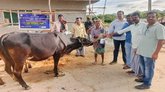 ಯಶಸ್ವಿಯಾದ ಜಾನುವಾರುಗಳ ಆರೋಗ್ಯ ತಪಾಸಣಾ ಶಿಬಿರ