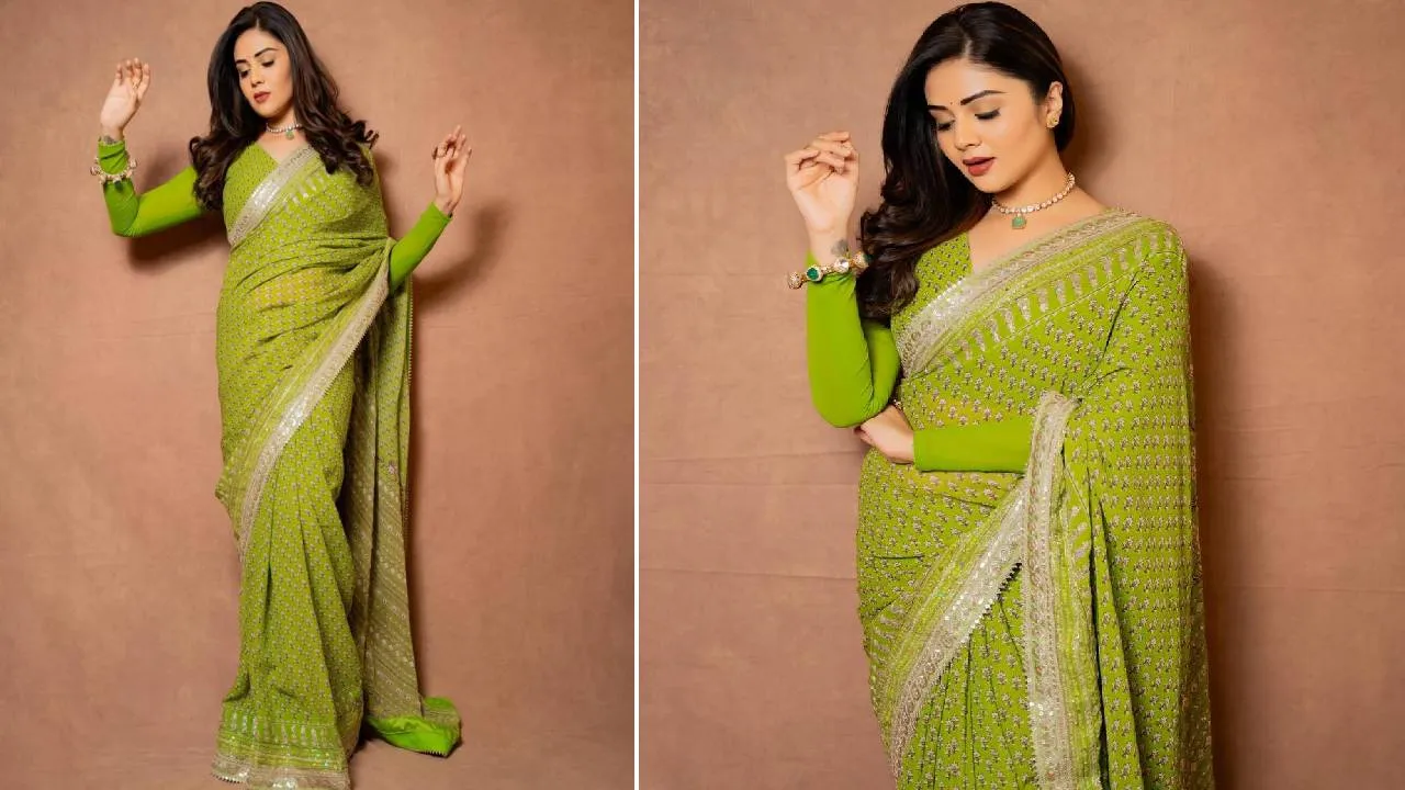 Saree Fashion 2026: ವೈಬ್ರೆಂಟ್‌ ಕಲರ್‌ಗಳಲ್ಲೂ ಬಂತು ಜಾರ್ಜೆಟ್‌ ಸೀರೆಗಳು - Image 3