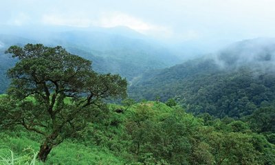 ಅಶಾಂತಿ, ಆತಂಕದ ಸುಳಿಯಲ್ಲಿ ಉತ್ತರ ಕನ್ನಡ ಜಿಲ್ಲೆ