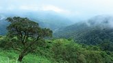 ಅಶಾಂತಿ, ಆತಂಕದ ಸುಳಿಯಲ್ಲಿ ಉತ್ತರ ಕನ್ನಡ ಜಿಲ್ಲೆ