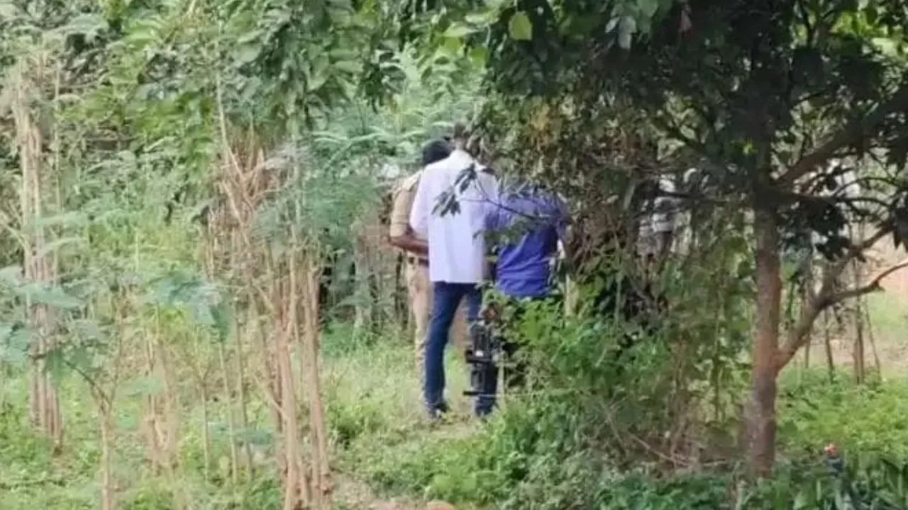 Tumkur News: ತೋಟದಲ್ಲಿ ಅಕ್ರಮವಾಗಿ ಗಾಂಜಾ ಬೆಳೆದು ಸಿಕ್ಕಿಬಿದ್ದ ಪೊಲೀಸ್ ಸಿಬ್ಬಂದಿಯ ಪುತ್ರ!