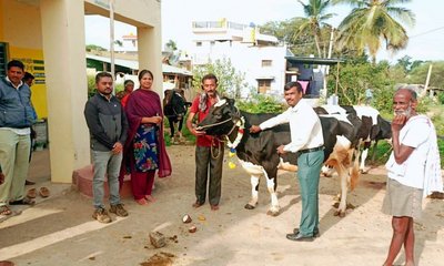 ಜಾನುವಾರುಗಳಿಗೆ ಕಡ್ಡಾಯವಾಗಿ ಕಾಲುಬಾಯಿ ಲಸಿಕೆ ಹಾಕಿಸಿ