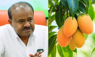 ಮಾವು ಬೆಲೆ ಕುಸಿತ; ರೈತರ ನೆರವಿಗೆ ಧಾವಿಸಲು ಕೇಂದ್ರಕ್ಕೆ ಎಚ್‌ಡಿಕೆ ಮನವಿ