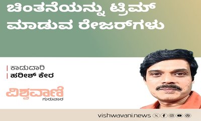 Harish Kera Column: ಚಿಂತನೆಯನ್ನು ಟ್ರಿಮ್‌ ಮಾಡುವ ರೇಜರ್‌ʼಗಳು