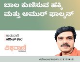 H‌arish Kera Column: ಬಾಲ ಕುಣಿಸುವ ಹಕ್ಕಿ ಮತ್ತು ಅಮುರ್‌ ಫಾಲ್ಕನ್