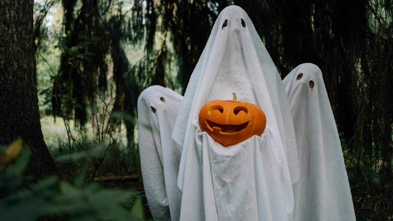 Halloween Styling Ideas 2025: ಹಾಲೋವಿನ್ ಸೆಲೆಬ್ರೇಷನ್‌ಗೆ ಸಿಂಪಲ್ ಐಡಿಯಾ - Image 1