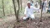 ರಾಮತೀರ್ಥ ಹೊಸಕೊಪ್ಪ ಮೀಸಲು ಅರಣ್ಯದಲ್ಲಿ ಚಿರತೆ ಸಾವು