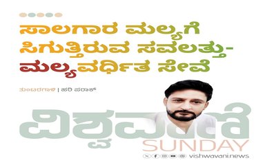 ಸಾಲಗಾರ ಮಲ್ಯಗೆ ಸಿಗುತ್ತಿರುವ ಸವಲತ್ತು - ಮಲ್ಯವರ್ಧಿತ ಸೇವೆ