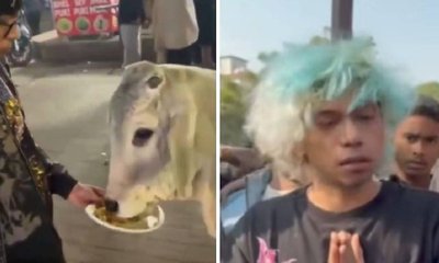 ರೀಲ್ಸ್‌ಗಾಗಿ ಹಸುವಿಗೆ ಚಿಕನ್ ಮೋಮೋಸ್‌ ತಿನ್ನಿಸಿದ ಯುವಕ: ಪ್ರಕರಣ ದಾಖಲು