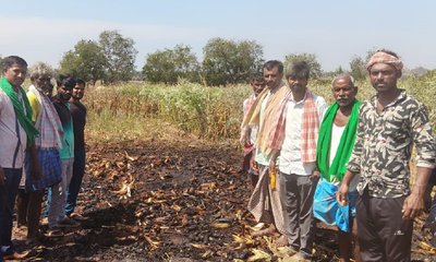 ಗೋವಿನ ಜೋಳದ ರಾಶಿಗೆ ಬೆಂಕಿ: ರೈತನಿಗೆ ₹2.80 ಲಕ್ಷ ನಷ್ಟ!