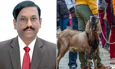 ಜಾತ್ರೆಯಲ್ಲಿ ಪ್ರಾಣಿ-ಪಕ್ಷಿ ಬಲಿ ನಿಷೇಧಿಸಿ ಹಾವೇರಿ ಜಿಲ್ಲಾಧಿಕಾರಿ ಆದೇಶ