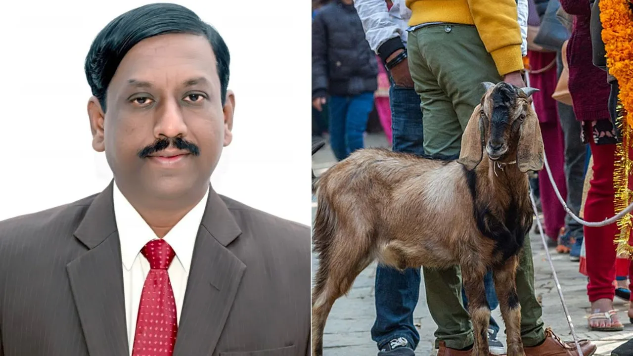 Haveri News: ಜಾತ್ರೆಯಲ್ಲಿ ಪ್ರಾಣಿ-ಪಕ್ಷಿ ಬಲಿ ನಿಷೇಧಿಸಿ ಹಾವೇರಿ ಜಿಲ್ಲಾಧಿಕಾರಿ ಆದೇಶ