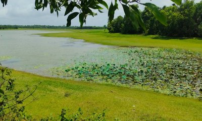 ಹಾವೇರಿ ಜಿಲ್ಲೆಯಾದ್ಯಂತ ಶೇಕಡಾ 43ರಷ್ಟು ಮಳೆ ಕೊರತೆ