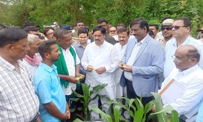 ಹಾವೇರಿಯಲ್ಲಿ ಮಳೆ ಕೊರತೆಯಿಂದ 24.34 ಹೆಕ್ಟೇರ್ ತೋಟಗಾರಿಕೆ ಬೆಳೆ ಹಾನಿ
