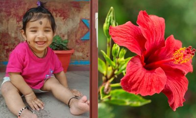 ಹುಣಸೂರಿನಲ್ಲಿ ದಾಸವಾಳ ಹೂವು ನುಂಗಿ 6 ತಿಂಗಳ ಮಗು ಸಾವು