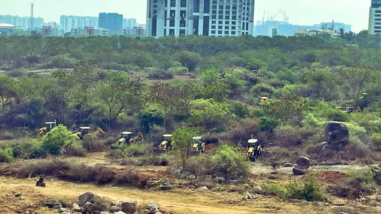 Kancha Gachibowli Land Row: ತೆಲಂಗಾಣ ಸರ್ಕಾರದಿಂದ ಮರಗಳ ಮಾರಣ ಹೋಮ; ಸುಪ್ರೀಂ ಕೋರ್ಟ್‌ನಿಂದ ಚಾಟಿ: ಏನಿದು ವಿವಾದ? - Image 1