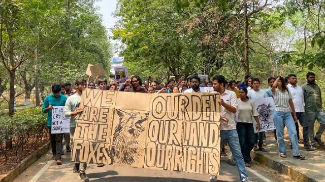 Kancha Gachibowli Land Row: ತೆಲಂಗಾಣ ಸರ್ಕಾರದಿಂದ ಮರಗಳ ಮಾರಣ ಹೋಮ; ಸುಪ್ರೀಂ ಕೋರ್ಟ್‌ನಿಂದ ಚಾಟಿ: ಏನಿದು ವಿವಾದ? - Image 5