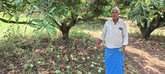 ಬಿರುಗಾಳಿ–ಆಲಿಕಲ್ಲು ಮಳೆ ಅಬ್ಬರ; ತೋಟಗಾರಿಕೆ ಬೆಳೆಗಳಿಗೆ ಭಾರೀ ಹಾನಿ