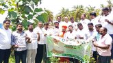 ವಿಶ್ವ ಪರಿಸರ ದಿನಾಚರಣೆ ಆಚರಿಸಿದ ಬಿಜೆಪಿ ಯುವಮೋರ್ಚಾ