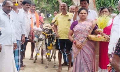 Gubbi News: ವರುಣನ ಕೃಪೆಗೆ ಕತ್ತೆಗಳ ಮದುವೆ..!!