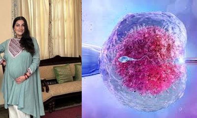 IVF ಪ್ರಕ್ರಿಯೆ ಬಗ್ಗೆ ಕಾನೂನು ಹೇಳೋದೇನು?