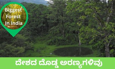 ಇಂದು ವಿಶ್ವ ಅರಣ್ಯ ದಿನ; ದೇಶದ ಟಾಪ್‌ 5 ಕಾಡುಗಳಿವು