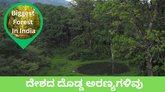 ಇಂದು ವಿಶ್ವ ಅರಣ್ಯ ದಿನ; ದೇಶದ ಟಾಪ್‌ 5 ಕಾಡುಗಳಿವು